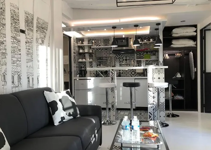 Appartement Rousselet Quartier Bon Marché Paris VIIème